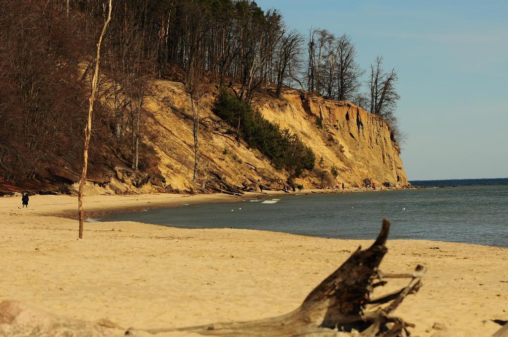 Orlowo Nadmorskie Gdynia Dış mekan fotoğraf
